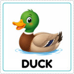 Tarjeta del pato con imagen y palabra Duck del Memorama de Animales en Inglés