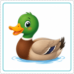 Tarjeta con ilustración de pato sin texto para memorama de animales en inglés