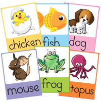 Flashcards Animales Aprender Ingles