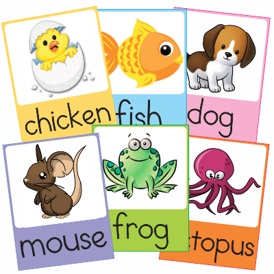 Flashcards-Animals-English