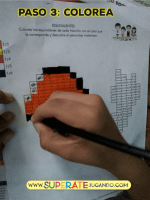Pixel Pokemón 1 - Fracciones y Decimales
